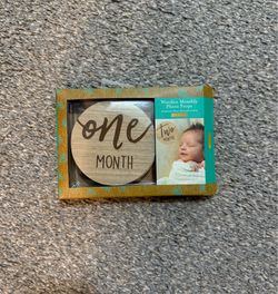 Milestone plaques 1 Month - 12 Months