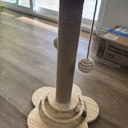 Cat Toy