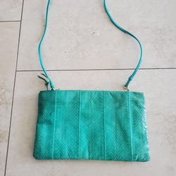 Green Snakeskin Look Clemente Purse 