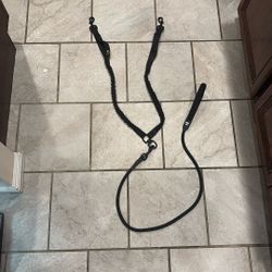 Double Dog Leash