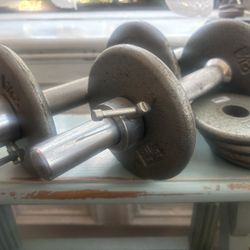 Stainless Steel dumbbells 10-12 lbs each