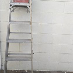 6ft Davidson Ladder 