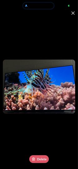 LG Series 65-inch Class OLED Smart TV OLED65C1PUB - 120 Hz- 4k TV -$850