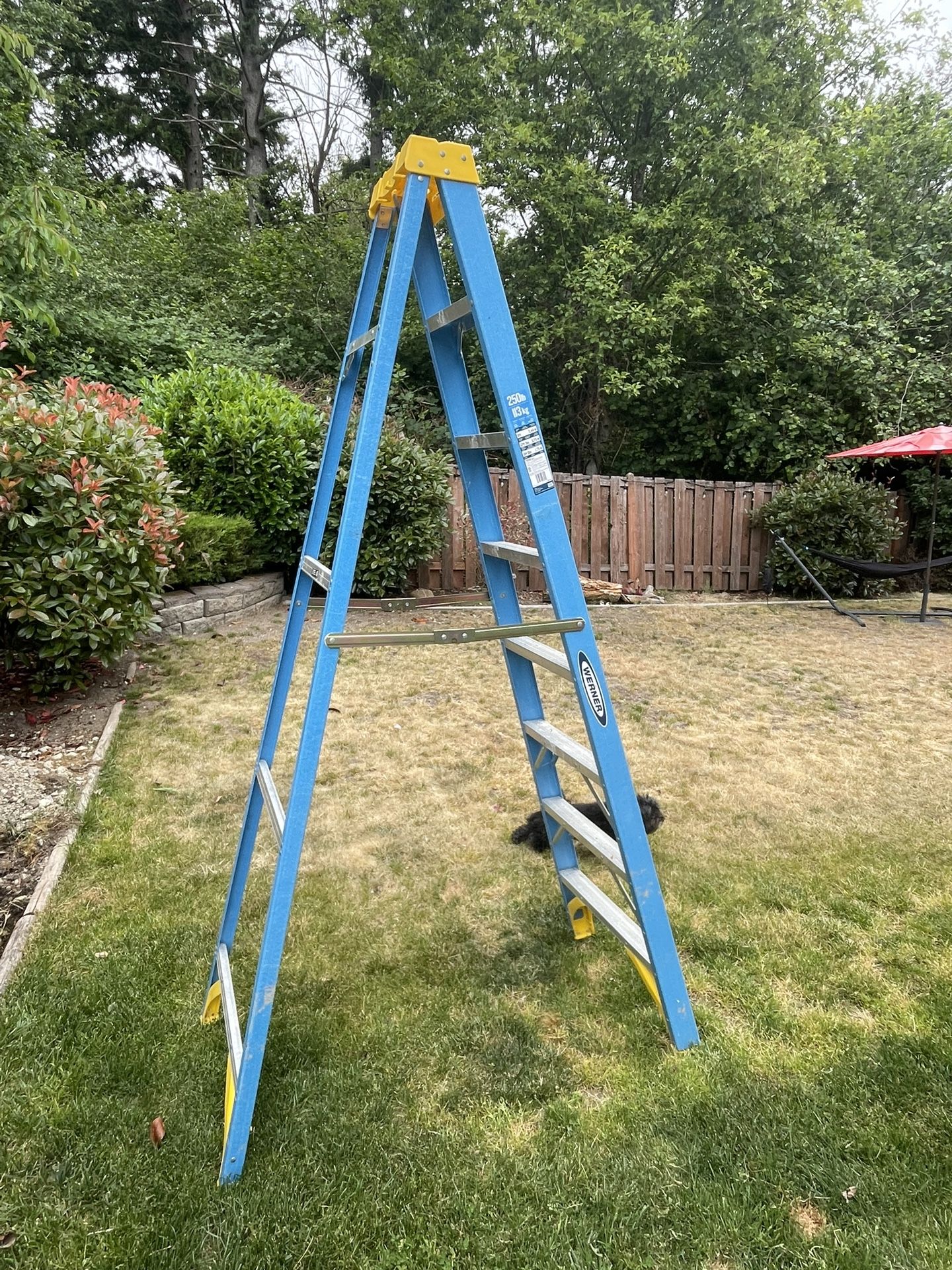 Werner 8 Ft Fiberglass Ladder 