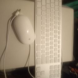 Apple Magic Keyboard And Mouse Model A1243