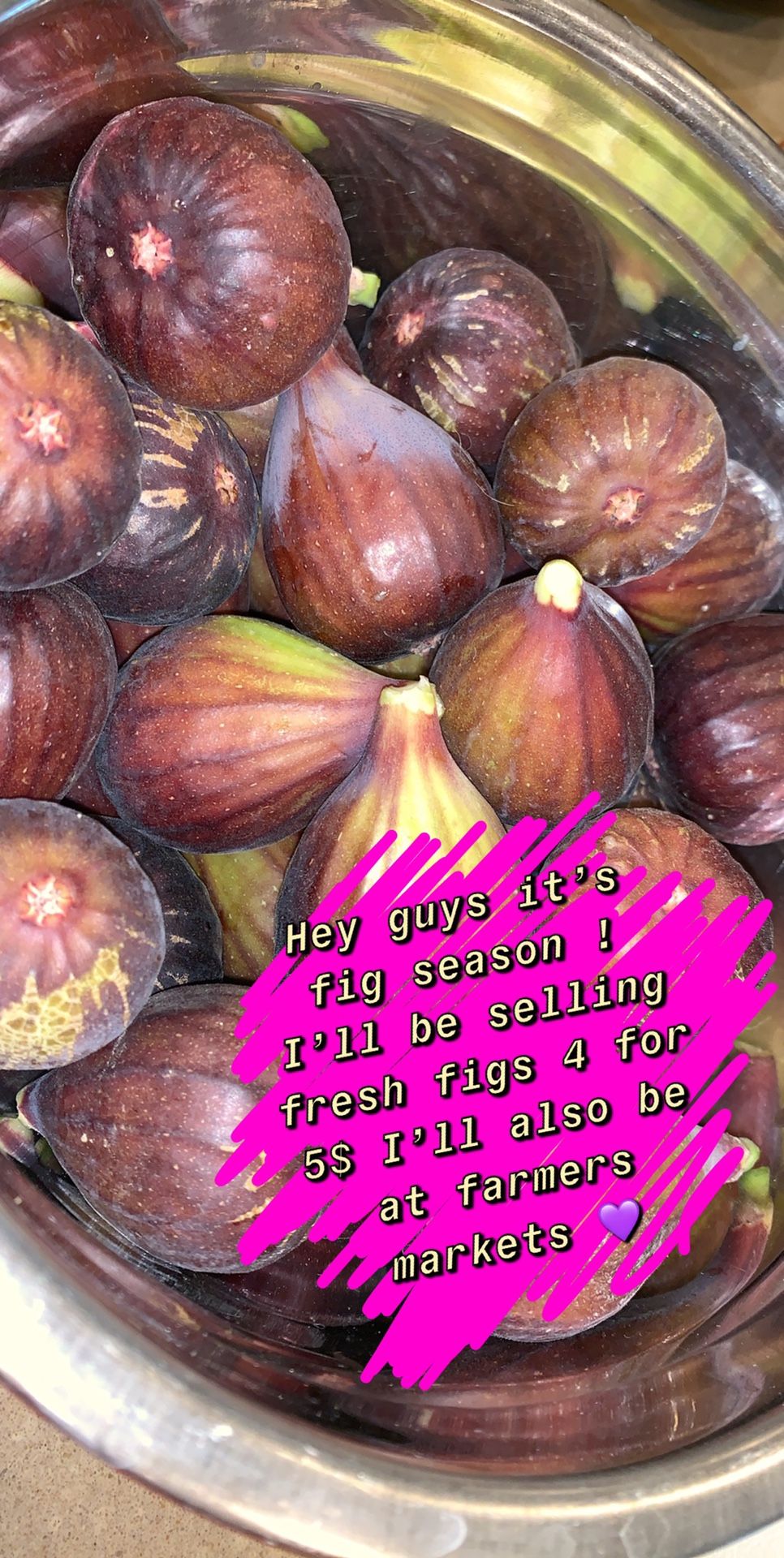 Fresh Figs for Sale in North Las Vegas, NV OfferUp