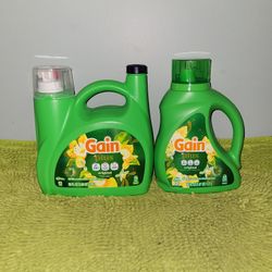 2 Gain Plus Oxi All Day Scent 99oz /60oz