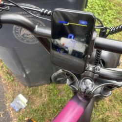 Electric Bike