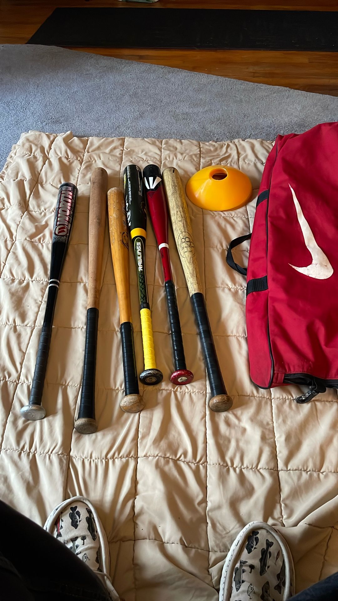 6 Baseball Bats With Bag
