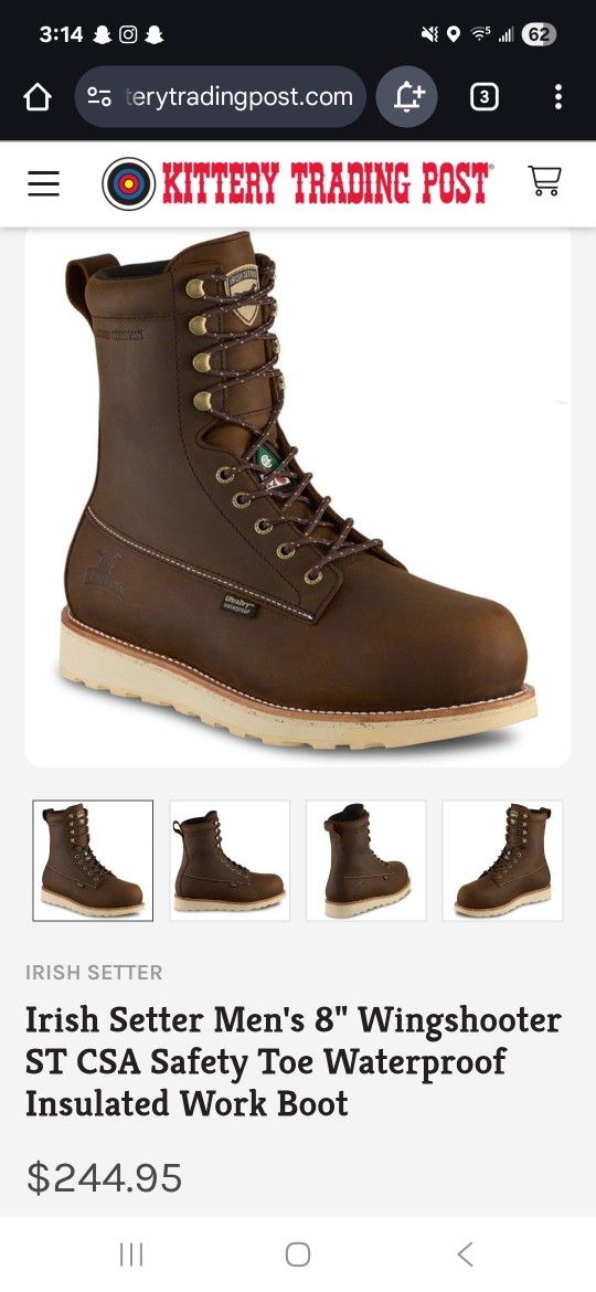 Irish Setter Men's 8" Wingshooter ST CSA Safety Toe Waterproof Insulated Work Boot