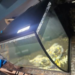 Fluval flex 15 gallon