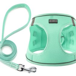 Harness And Leash Medium