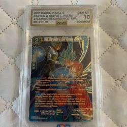 SSB Son Goku And SSB Vegeta 