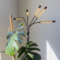 5-Head Adjustable LED Lights, Full Spectrum Grow Lamp with Timer, Warm White Light for Indoor Plants