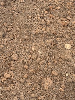 Free soil free delivery