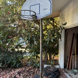 Basketball Hoop with New Net