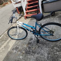 Used Schwinn Bicycle – works well, brakes need adjustment