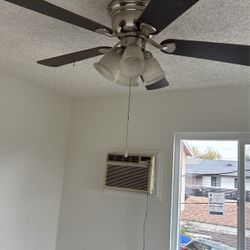 Ceiling Fans 