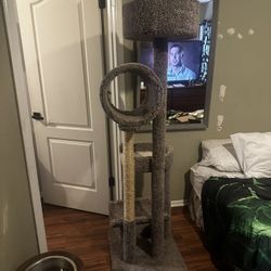 5 Foot Eight Cat Tower