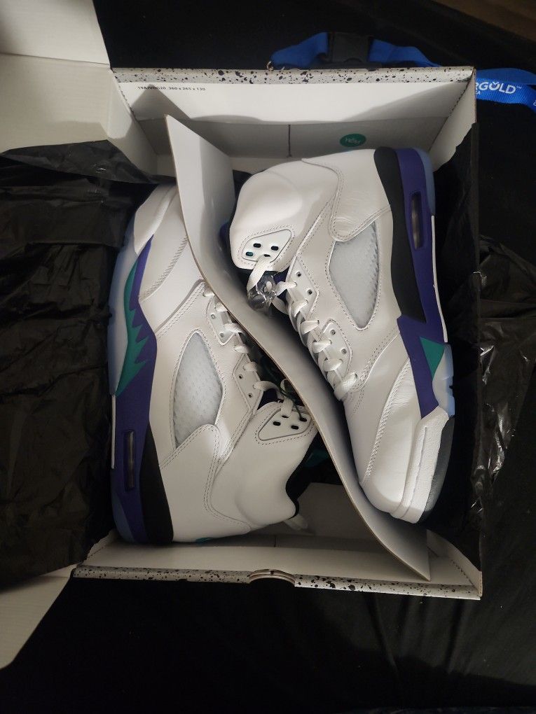 Jordan 5 Grape Size 11
