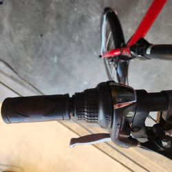 Folding Bike