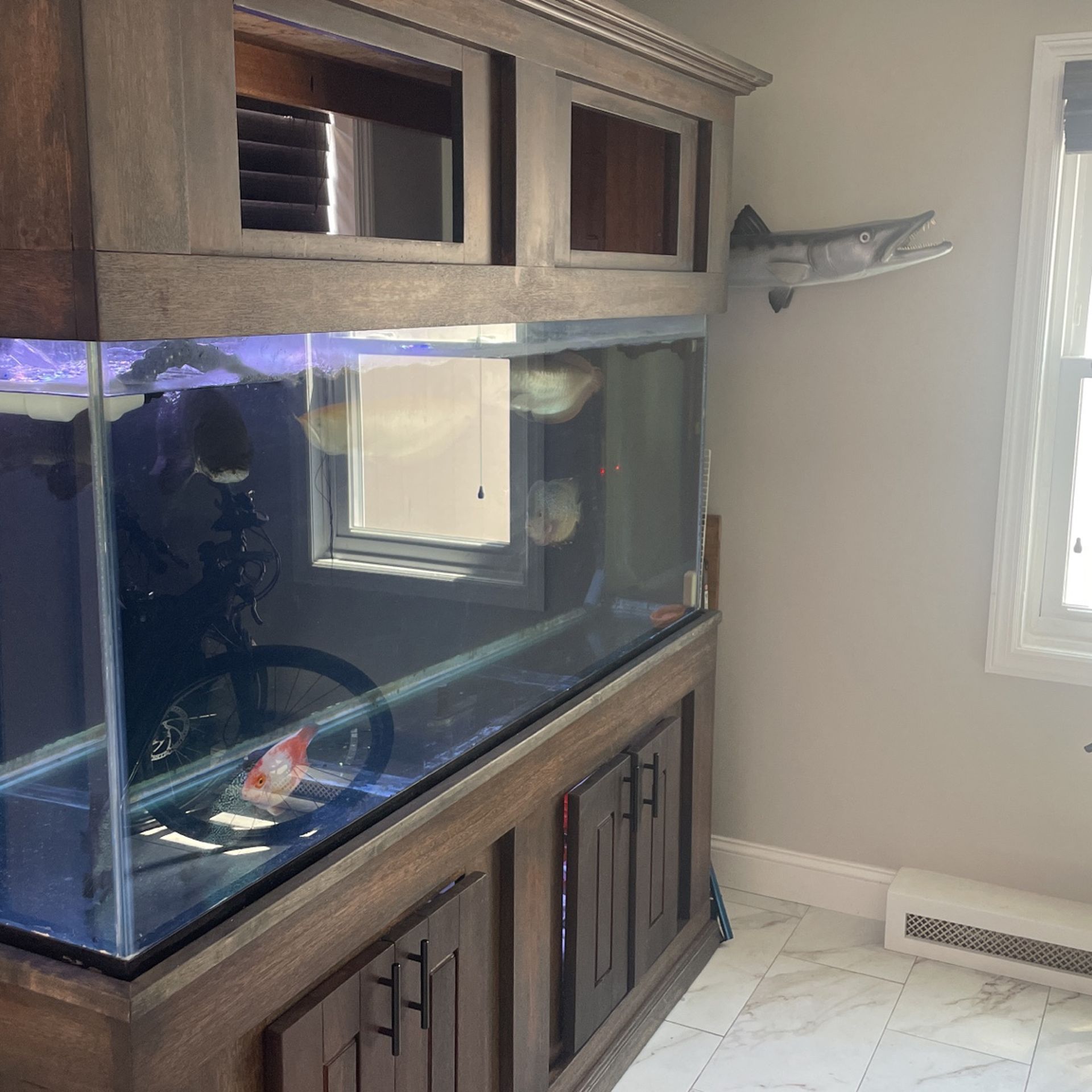 220 Gallon Fish Tank Complete Set Up STEAL !!!!