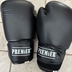Premiere Kick Boxing Gloves With Straps
