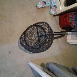 Cat Swing