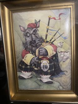 Scottish  Terrier