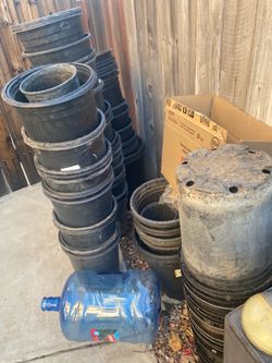 plant containers