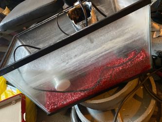 Fish tank with rocks