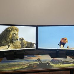 Two 24” LG computer monitors