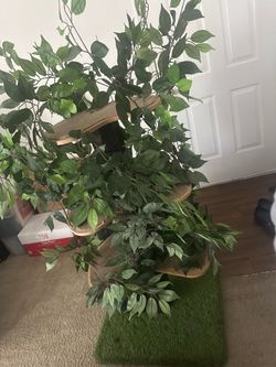 Cat tree