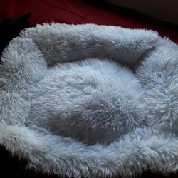 Pet Bed