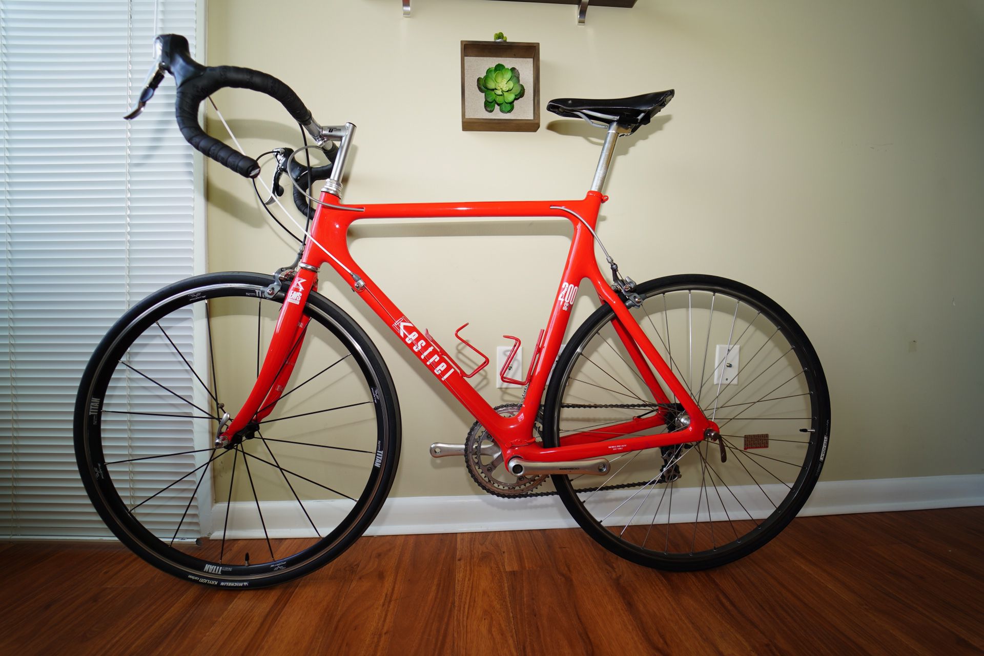Rare Kestrel carbon bike! Light as 16 lbs. The only reason I’m selling this bike is because it’s too big for me.