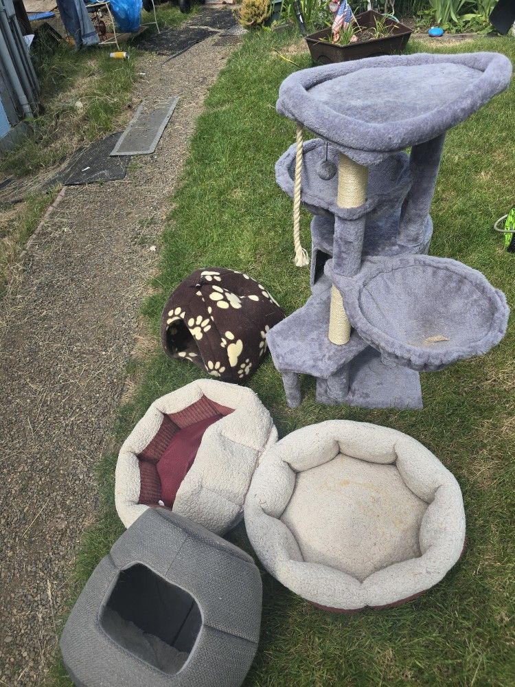 Cat Tree Cat Motel Beds