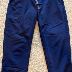 Figs Joggers
