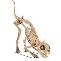 Home Accents 5' Long Grave & Bones LED Skelly's Cat