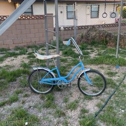 Schwinn Bikes Schwinn Accessories Catalog Vintage Schwinn Fair Lady Bicycle  Late 60's Early 70's Bike For