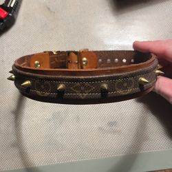 Dog Collar 