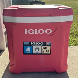 Igloo Cooler 