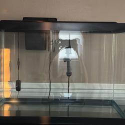 Fish Tank