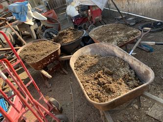 Tengo Istiercol De Godornas Gratis