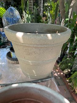 Big Planter