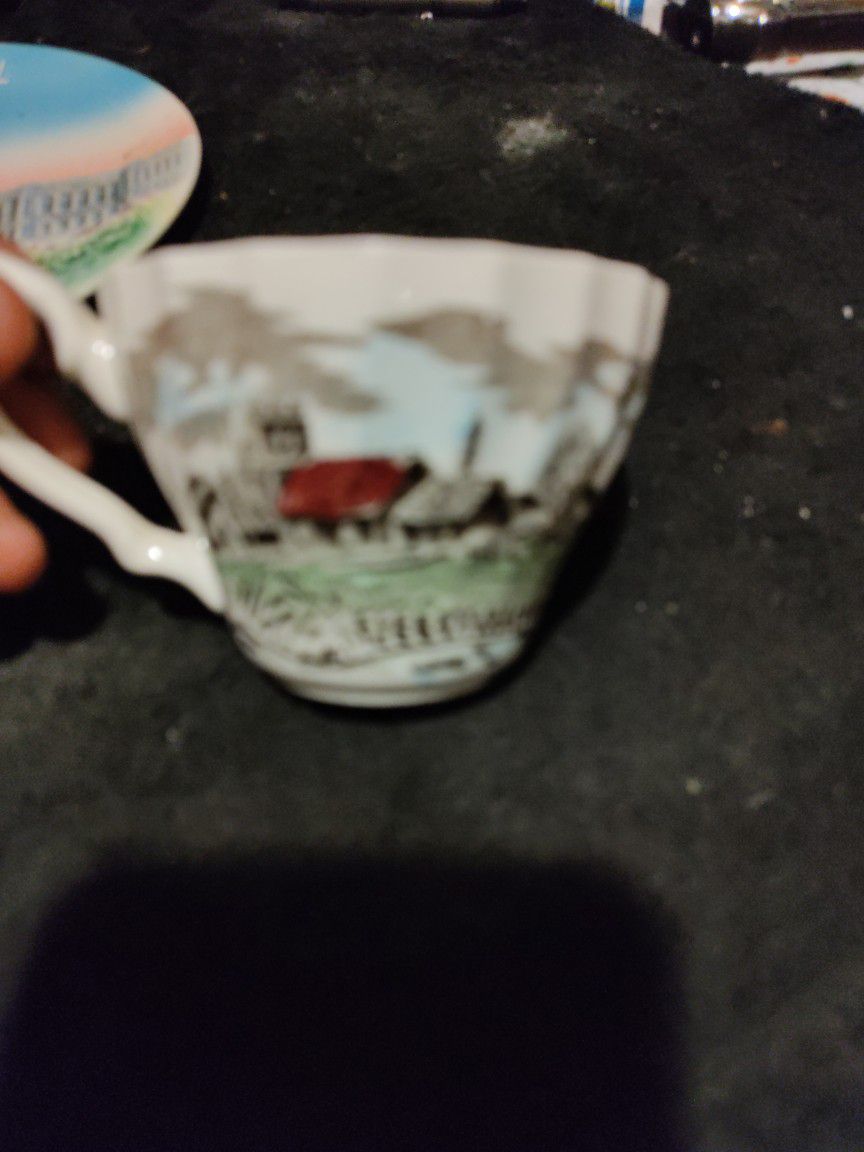 Vintage Myott Royal Mail Staffordshire English China Tea Cup