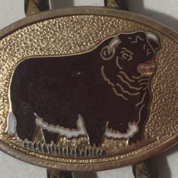 Vintage Bolo Tie Cattle Bull Beef Steer