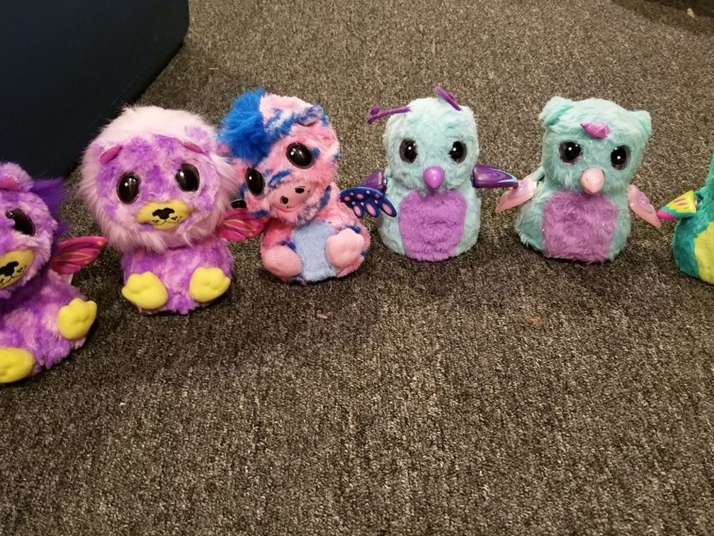 Hatchimals