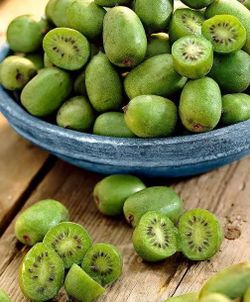 Hardy Kiwi