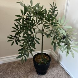 Target faux olive tree plant
