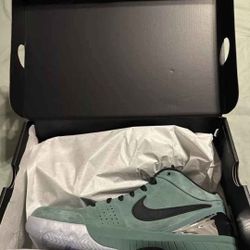 Nike Kobe 4 Protro Girl Dad 11.5 DS